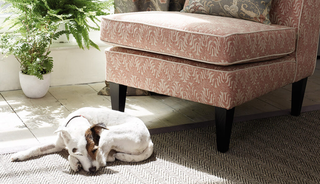 Pet Friendly Sofa